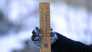 illustration agrandir l