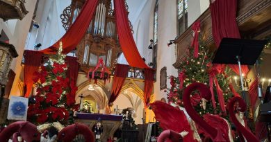 illustration agrandir l