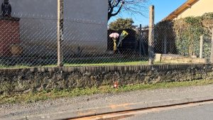 Mort de Mathilde, 20 ans, tuée par un chauffard : vitesse excessive, alcoolémie, délit de fuite… les circonstances du drame précisées