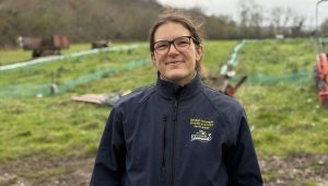 illustration agrandir l