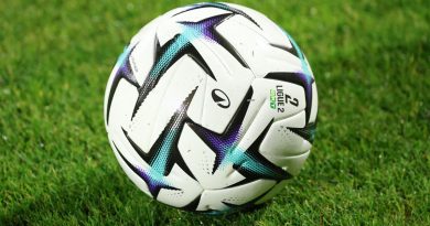 illustration agrandir l