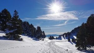 illustration agrandir l