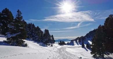 illustration agrandir l