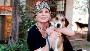 illustration agrandir l