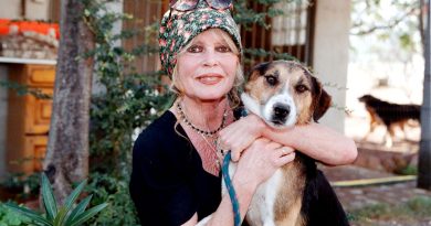 illustration agrandir l