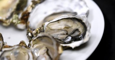 Interdiction de vente des huîtres et moules de l’étang de Thau après le 22 décembre en raison du norovirus