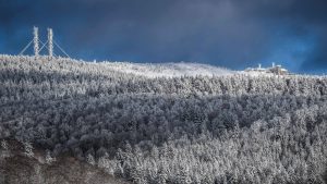 Gard : pourquoi le département n’est-il pas en plan grand froid malgré des températures négatives ?