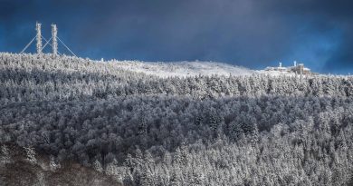 Gard : pourquoi le département n’est-il pas en plan grand froid malgré des températures négatives ?