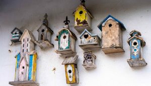 illustration agrandir l