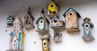 illustration agrandir l