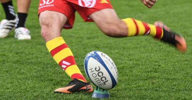 illustration agrandir l