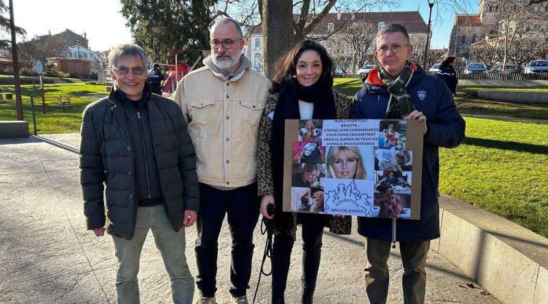 illustration agrandir l