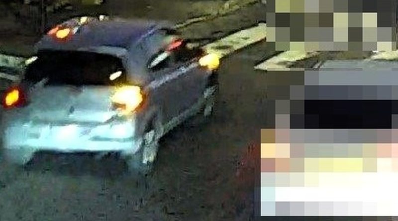 Maman et bébé renversés sur un passage piétons, chauffard en fuite, appels à témoins… Ce que l’on sait