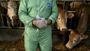 illustration agrandir l