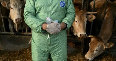 illustration agrandir l