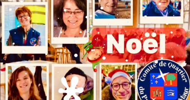 19 reactions | ✍🏼 L’édito de #Noël ✨🎄🎅🏼 Nous y sommes, demain soir, vous croiserez peut être Rudolph le Renne au nez rouge, sur la Place des Marronniers, à moins que ce ne soit Edgar le renard du Parc… Dans la nuit, vous rêverez probablement à un Noël tout blanc, qui aurait recouvert le square des lacs et dans nos cœurs, les cloches du Rosaire sonneraient à tue tête, alors que devant l’âtre crépitant, le tourne disque ressuscité, passerait un vieux vinyl des années 50 qui chanterait en anglais que "Santa Claus" arrive en ville et qu'il nous voit quand on est gentil ou pas trop sage et que l’on devrait faire bien attention, si on ne veut pas qu’il oublie notre petit soulier… Et puis dans nos doux foyers, il y aurait nos divins enfants qui l’attendent ! Les yeux remplis d’étoiles, rivés sur le roi des forêts qui clignote, dans nos salons… Chers amis du Parc et au delà, chers adhérents, chers bénévoles, chers abonnés, nous sommes cernés ! L’esprit de Noël est partout. C'est bien normal en cette fin d’année anxiogène, humide, et froide… ça remonte le moral et ça réchauffe les cœurs, parce que c’est Noël après tout ! Notre petite équipe épicurienne, vous souhaite de passer avec ceux qui vous sont chers, ceux qui sont là, de belles fêtes, en bonne santé, avec enthousiasme, pardon et générosité. A toutes et tous, et à chacun d’entre vous, nous souhaitons, un très Joyeux Noël ✨🎄✨❤️🎅🏼✨🎁✨ Anne, Jeannine, Cathy, Floriane, Idalina, Jean et J-Christophe. P-S. : Si vous avez du vague à l’âme, si votre cœur balance entre « Le Père Noël est une ordure » et « Love Actually », c’est peut être que vous n’êtes pas encore adhérent de notre joyeuse association, pas encore bénévole de notre sympathique communauté, pas encore volontaire de notre comité… Mais il n’est pas trop tard, en 2026 votre première résolution pourrait être : « Au Comité de Quartier du Parc, je vais adhérer ! » Nous, on adorerait déjà ça… À très vite, rendez vous le 10 janvier 2026 ! Le Secrétaire | Comité de Quartier du Parc de Saint Maur