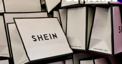Shein : la plateforme chinoise face à une possible suspension en France.