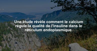 Une étude révèle comment le calcium régule la qualité de l'insuline dans le réticulum endoplasmique.