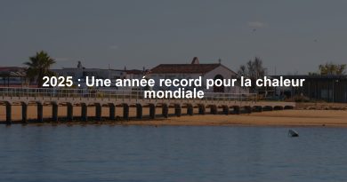 2025 : Une année record pour la chaleur mondiale