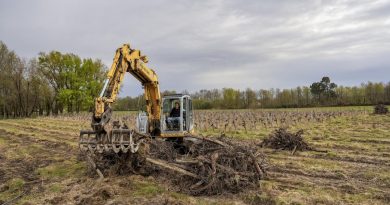 Vignes françaises : 20 000 hectares arrachés en trois ans, récolte 2025 faible, prix au plus bas malgré un millésime prometteur Bilan 2025 dans les vignes : entre arrachages massifs et espoirs portés par un joli millésime