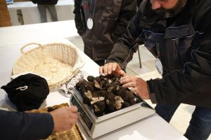 Dordogne : 33 kilos de truffes vendues au marché de Sainte-Alvère