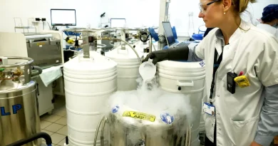 Autoconservation des ovocytes : ouverture de l'activité au secteur privé en débat