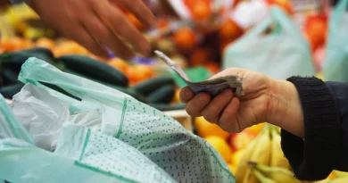 Budget : le Sénat supprime la taxe sur les emballages plastiques, à l'instar de l'Assemblée
