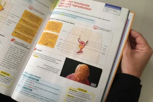 Éducation à la vie sexuelle : l'État reconnu coupable de retard dans l'organisation des séances