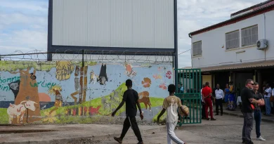 « À Mayotte, l'apprentissage en plein air contribue à la reconstruction »