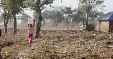Nigeria : 28 personnes enlevées par des hommes armés en route vers une fête musulmane