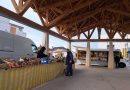 Nouveau marché à Saint-Hilaire-de-Riez : qu'en pensent les habitants et commerçants ?