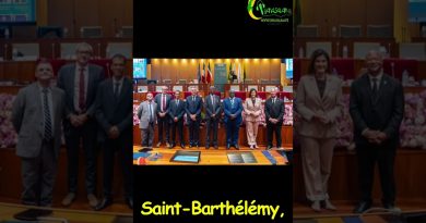 Renforcer la connectivité : 2e Conférence de l’Aérien Antilles-Guyane 2e Conférence Aérienne Antilles-Guyane : Optimiser la Connectivité