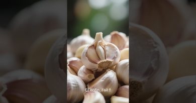 3 aliments pour renforcer ton système immunitaire !