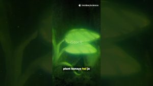 3 faits scientifiques étonnants qui deviennent réalité !