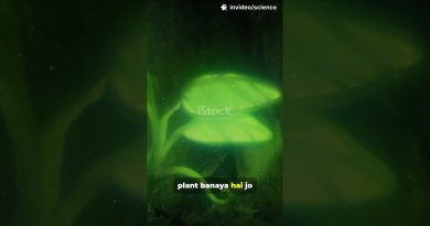 3 faits scientifiques étonnants qui deviennent réalité !