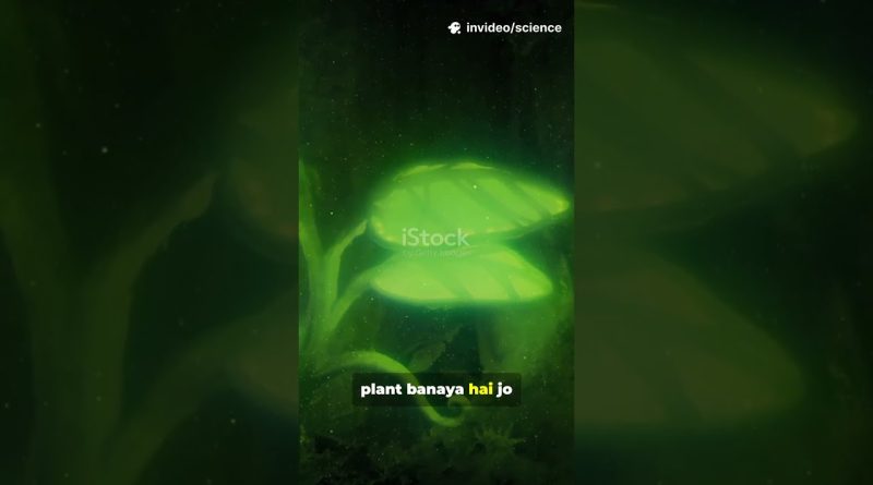 3 faits scientifiques étonnants qui deviennent réalité !