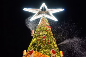 Marché de Noël en Allemagne : un projet d’attentat déjoué, cinq hommes arrêtés