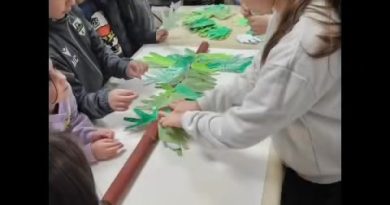 33 reactions | Praticalingua Capicorsu on Reels