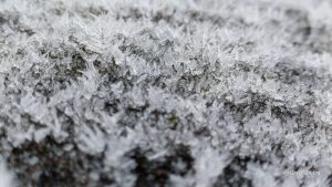 Météo en Belgique : ciel gris persistant et températures basses ce lundi
