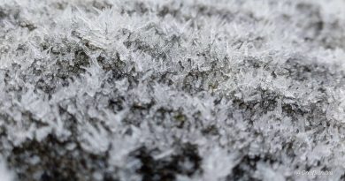 Météo en Belgique : ciel gris persistant et températures basses ce lundi