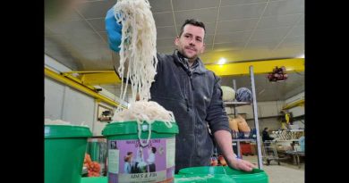 Les Süri Rüewe, spécialité alsacienne, cherchent à retrouver leur place à table