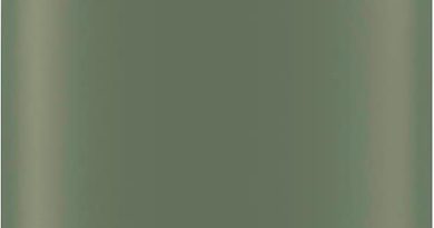 Sigg – Gourde Aluminium – Traveller Leaf Green – Certifiée Neutre En CO2 – Convient Aux Boissons Gazeuses – Étanche & Légère – Sans BPA – Pour Sport, Camping, Randonnée – Vert – 1L – Le détail qui change tout au quotidien