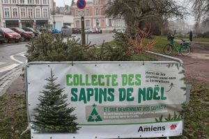 CARTE. Points de collecte pour déposer votre sapin de Noël à Amiens