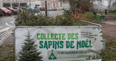 CARTE. Points de collecte pour déposer votre sapin de Noël à Amiens