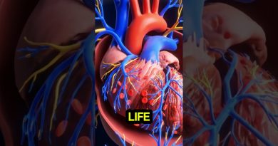 5 Aliments Naturels pour Énergie et Performance Immédiates