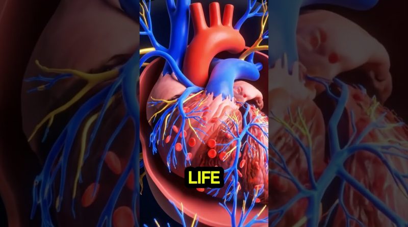 5 Aliments Naturels pour Énergie et Performance Immédiates