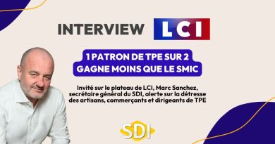 Un patron de TPE sur deux sous le SMIC : un cri d’alarme 50 % des patrons de TPE perçoivent moins que le SMIC