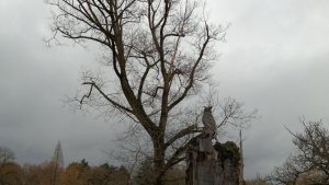 Météo en Belgique : temps gris devenant sec ce mardi selon RTBF Actus