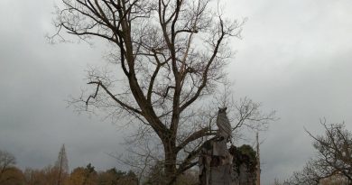 Météo en Belgique : temps gris devenant sec ce mardi selon RTBF Actus