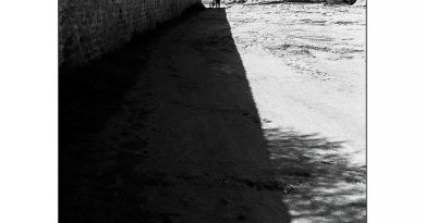 Saint Guénolé : Histoire et héritage du fondateur de l'abbaye de Landévennec